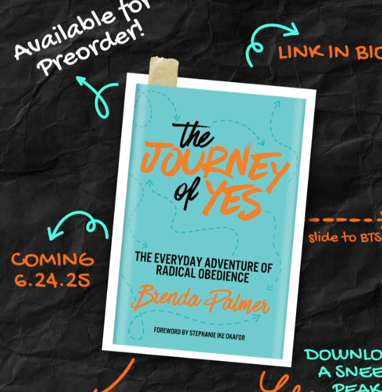 Brenda Palmer's book: The Journey of Yes